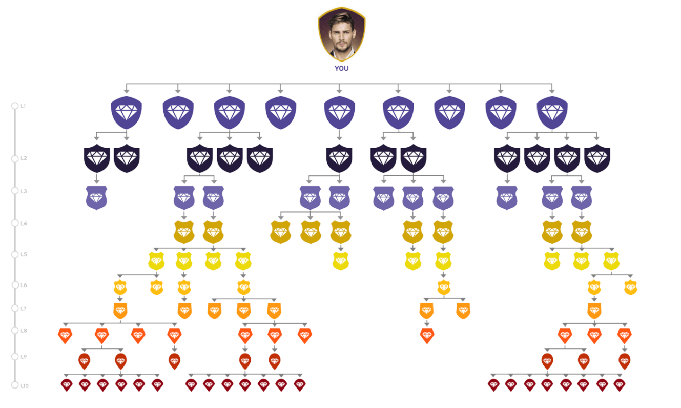 Supainvest commision structure